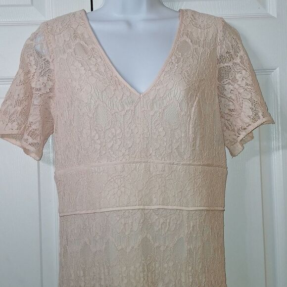 Lovely by Adrianna Papell blush lace dress wedding cruise baby shower Sz 10 NWOT - Picture 3 of 8